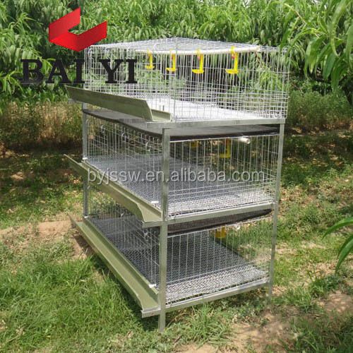 Design Modern Rooster Cage For Sale