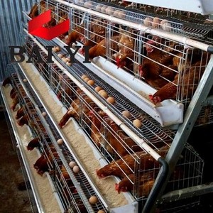 a type battery cage for poultry layers / chicken laying egg cages / bamboo chicken coop