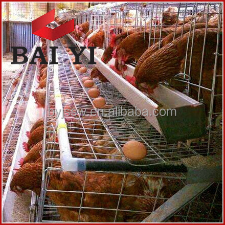 Used Layer Chicken Battery Cages for Laying hens