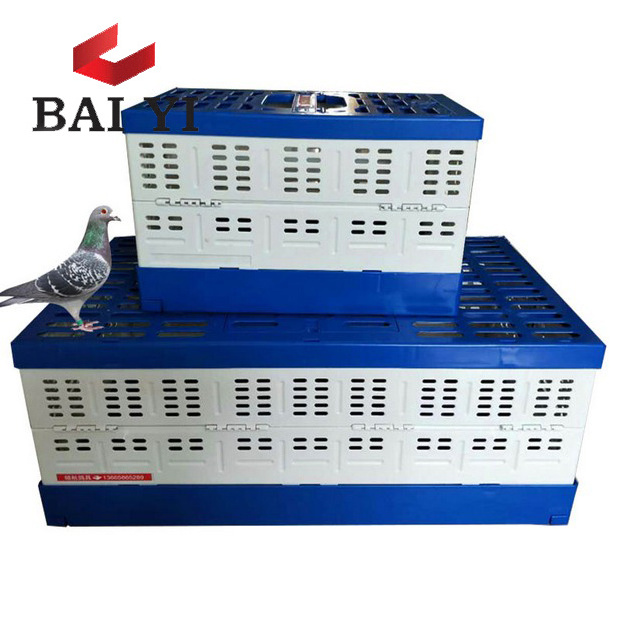 80cm training box for racing pigeon for breeding low price