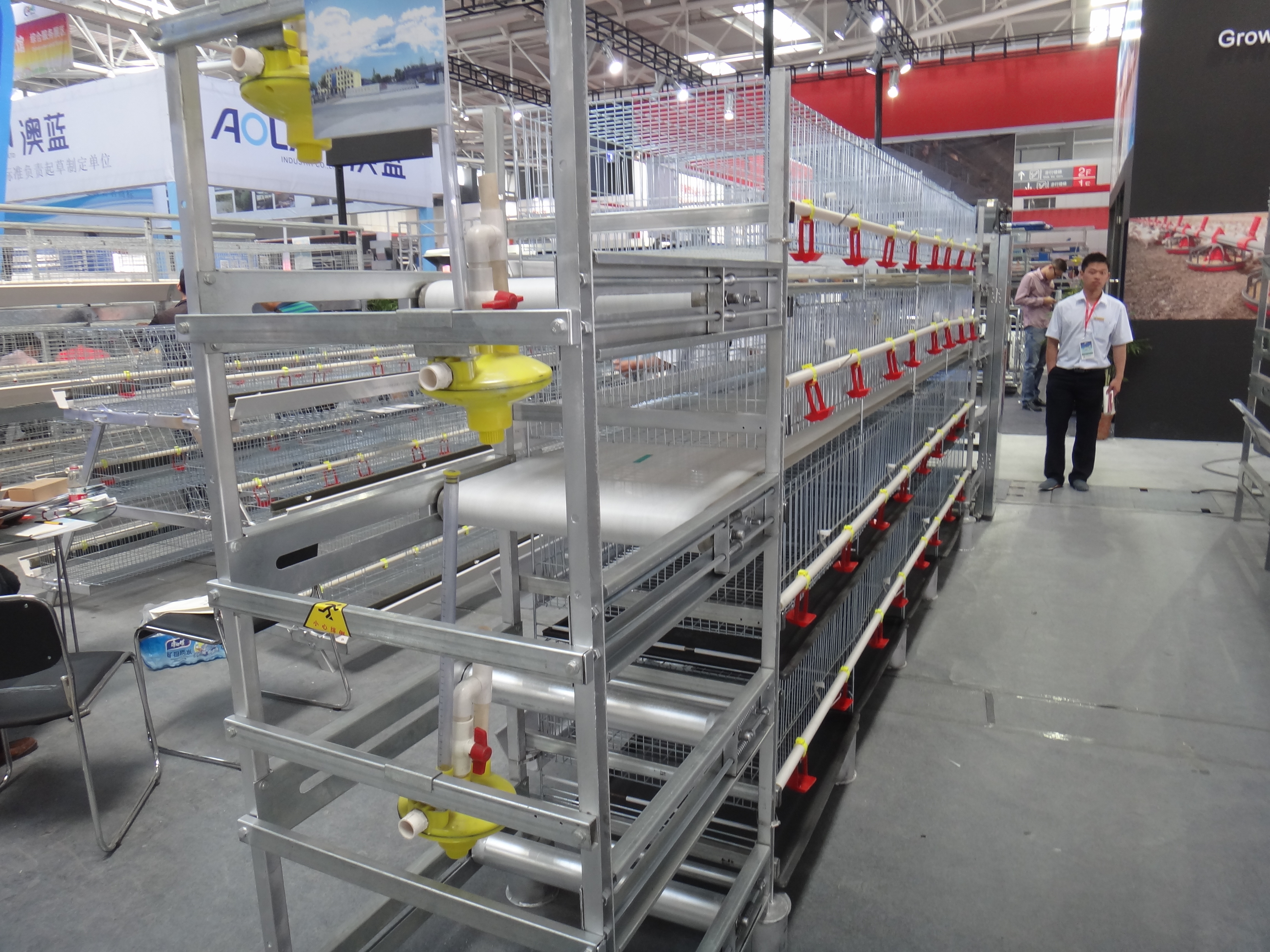 h type automatic broiler battery cage with manure belt