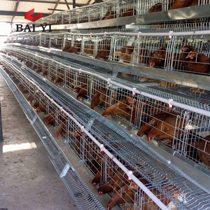 Used Layer Chicken Battery Cages for Laying hens