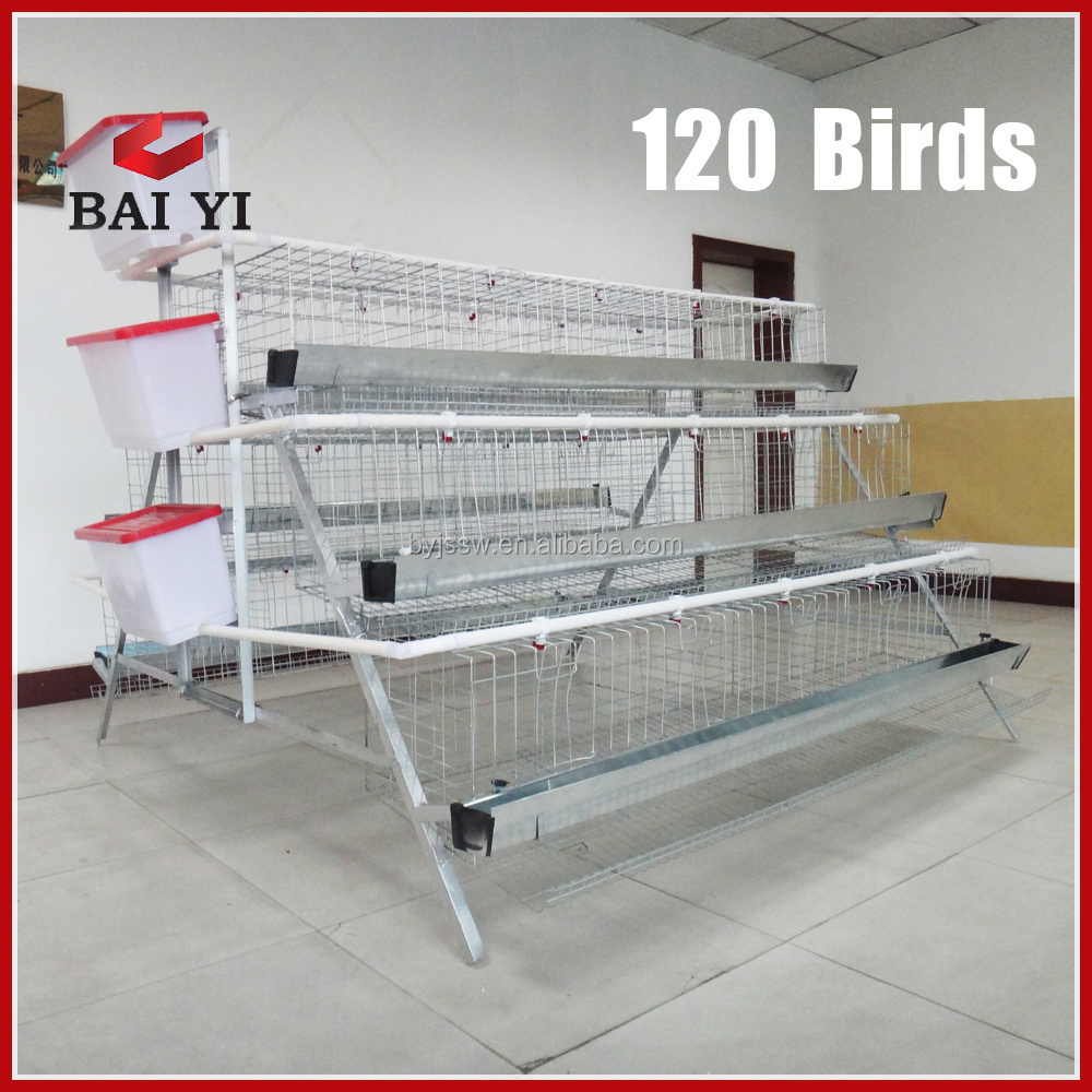 Best Selling Cages for Laying Hens, Used Chicken Cages For Sale, Name Of Poultry Farms