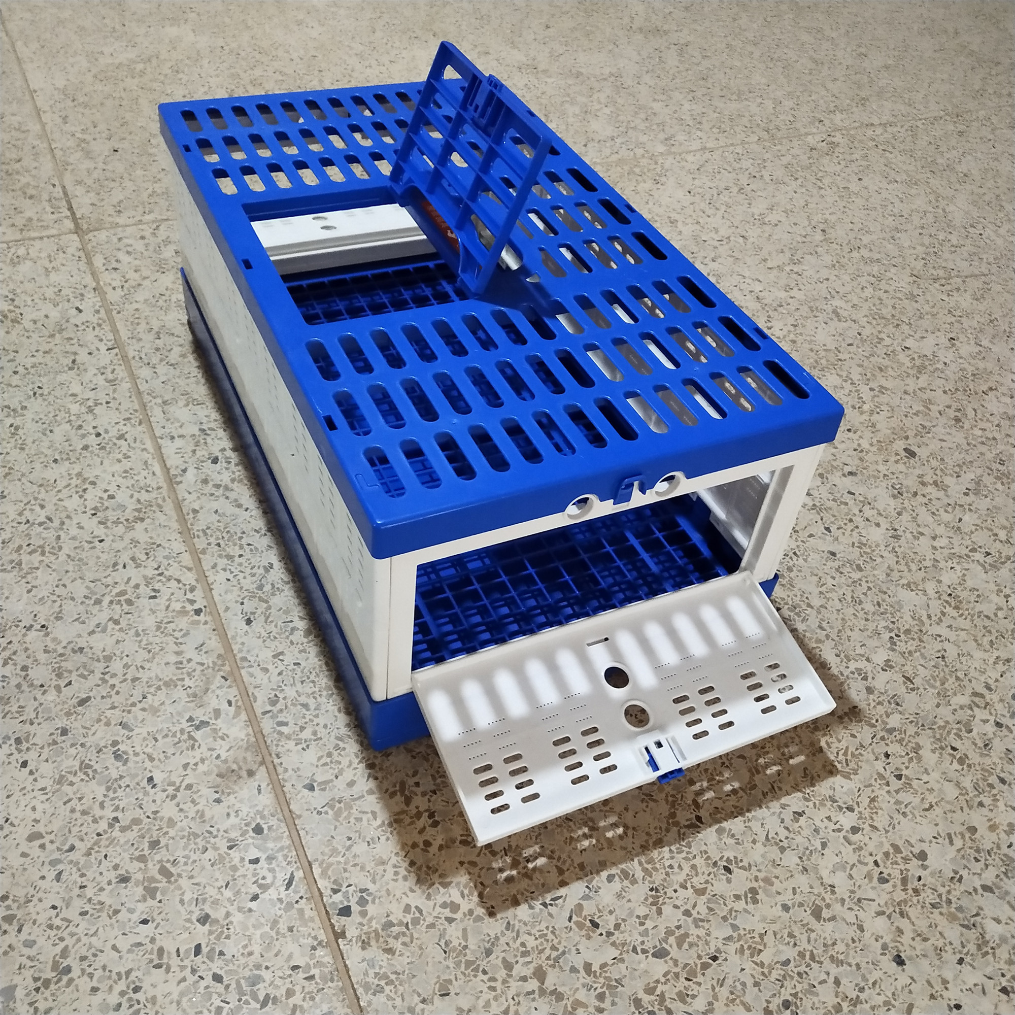 80cm training box for racing pigeon for breeding low price