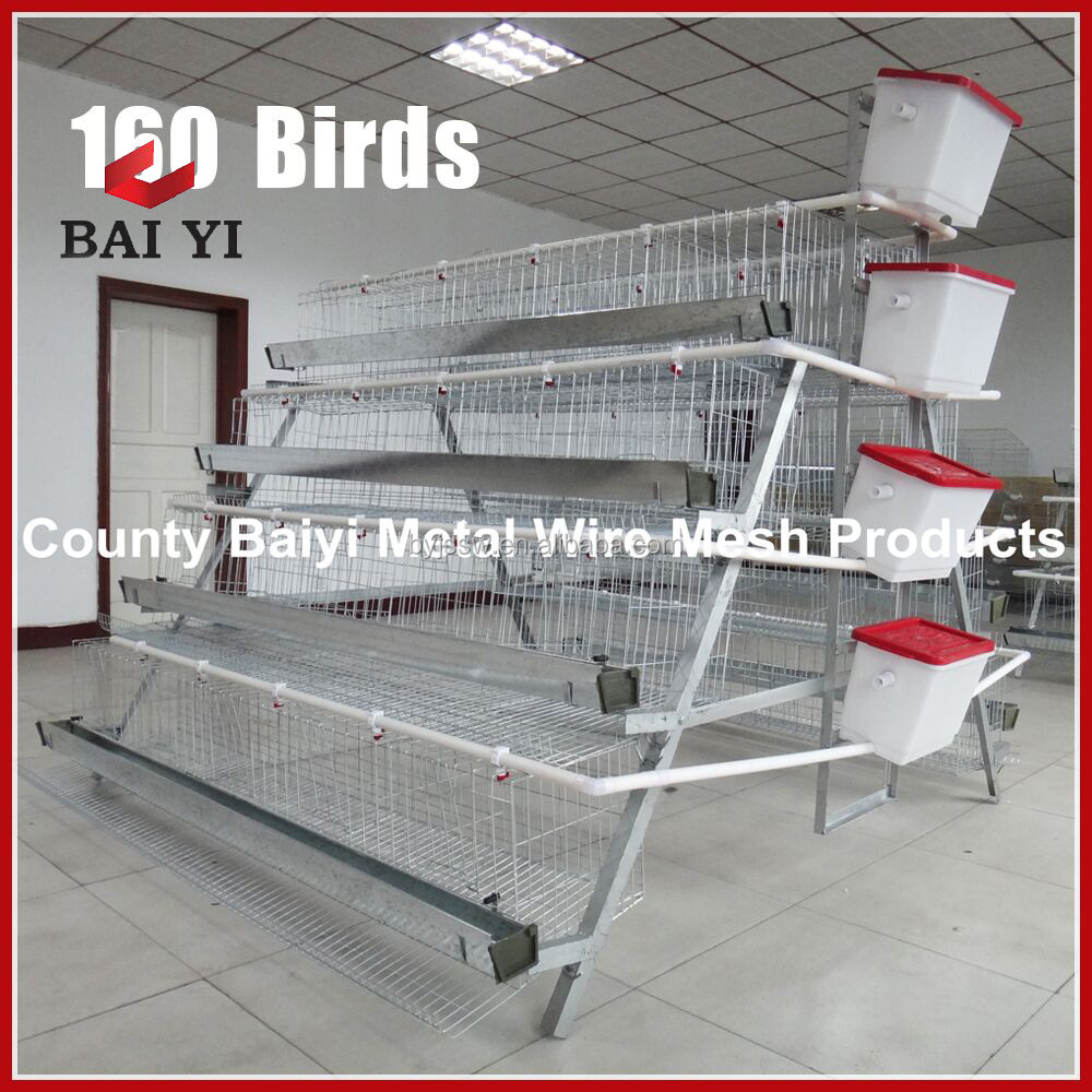 Best Selling Cages for Laying Hens, Used Chicken Cages For Sale, Name Of Poultry Farms