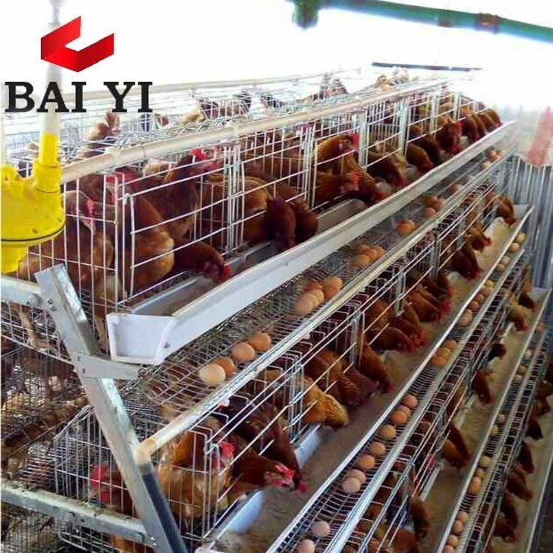 mexico hot dip galvanized chicken cage battery cage for layer poultry farm