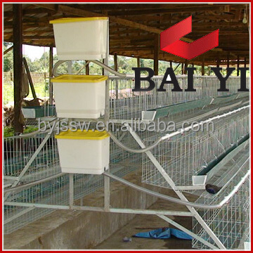 Enriched Colony System Poultry Chicken Cage for Poultry