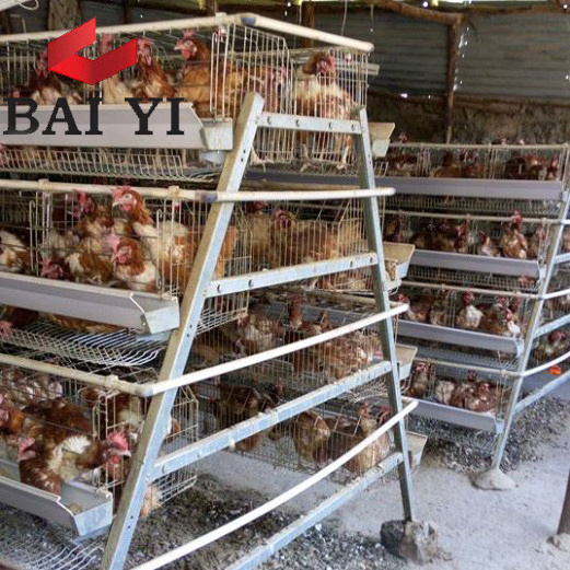 Best Selling Products 96,120,128,160 Birds Layer Poultry Battery Chicken Cages For Sale