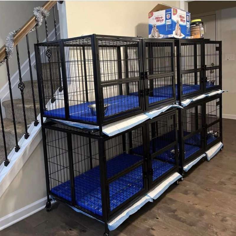 S,M,L,XL,XXL Metal Welded Stack Dog Kennel Cages with Top Open