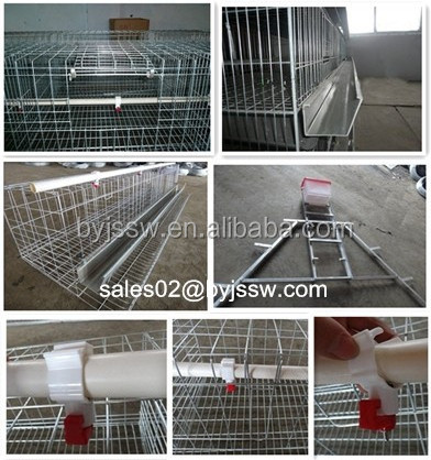 a type battery cage for poultry layers / chicken laying egg cages / bamboo chicken coop