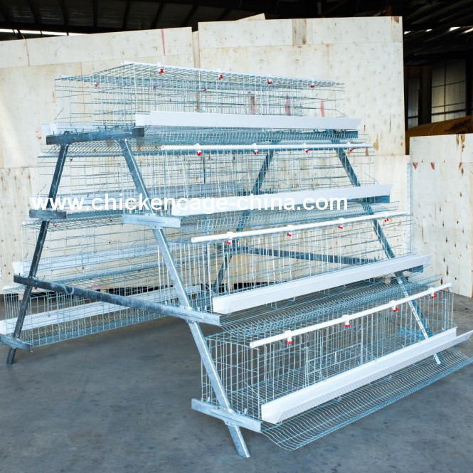 pakistan layer chicken cage poultry farm used poultry cages for sale