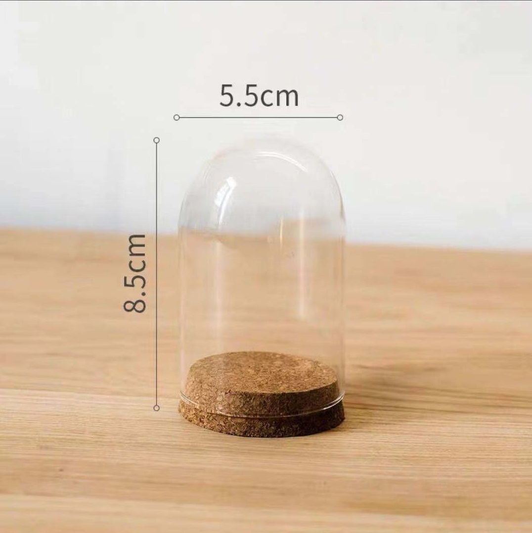 Small Clear Dome with Cork Bases Mini Glass Dome Flowers Display Jars with Glass Covers Eco-friendly