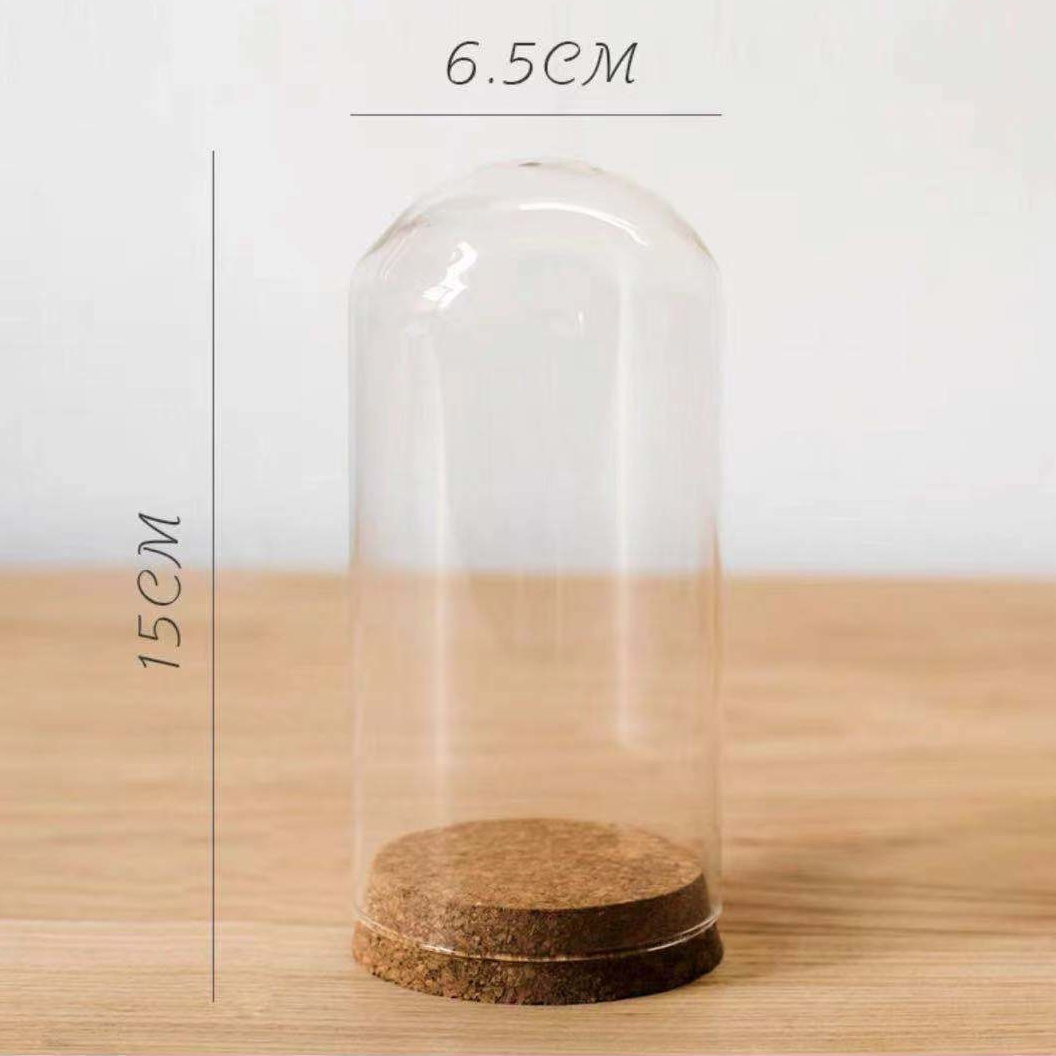 Small Clear Dome with Cork Bases Mini Glass Dome Flowers Display Jars with Glass Covers Eco-friendly