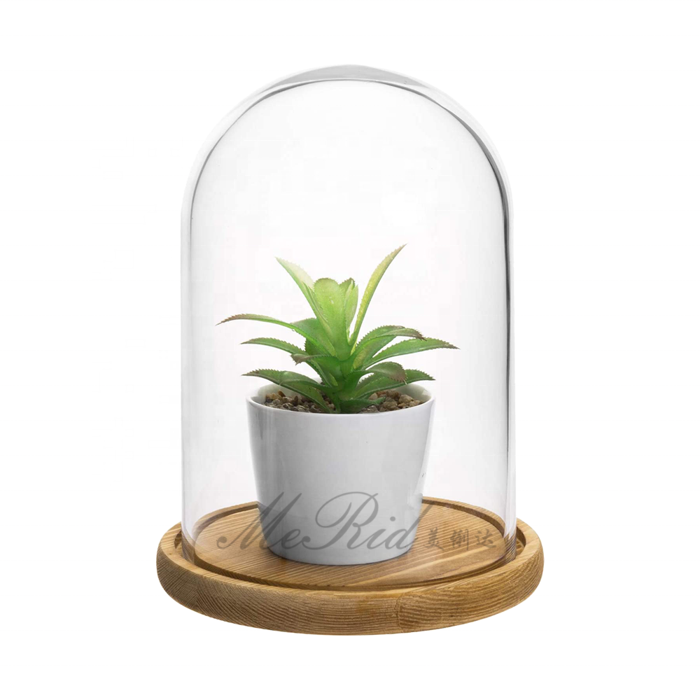 Wholesale Borosilicate Terrarium Clear Empty Hand Blown Glass Bell Jar Cloche Glass Dome Cover with wood base Eco-friendly