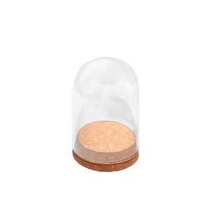 Small Clear Dome with Cork Bases Mini Glass Dome Flowers Display Jars with Glass Covers Eco-friendly