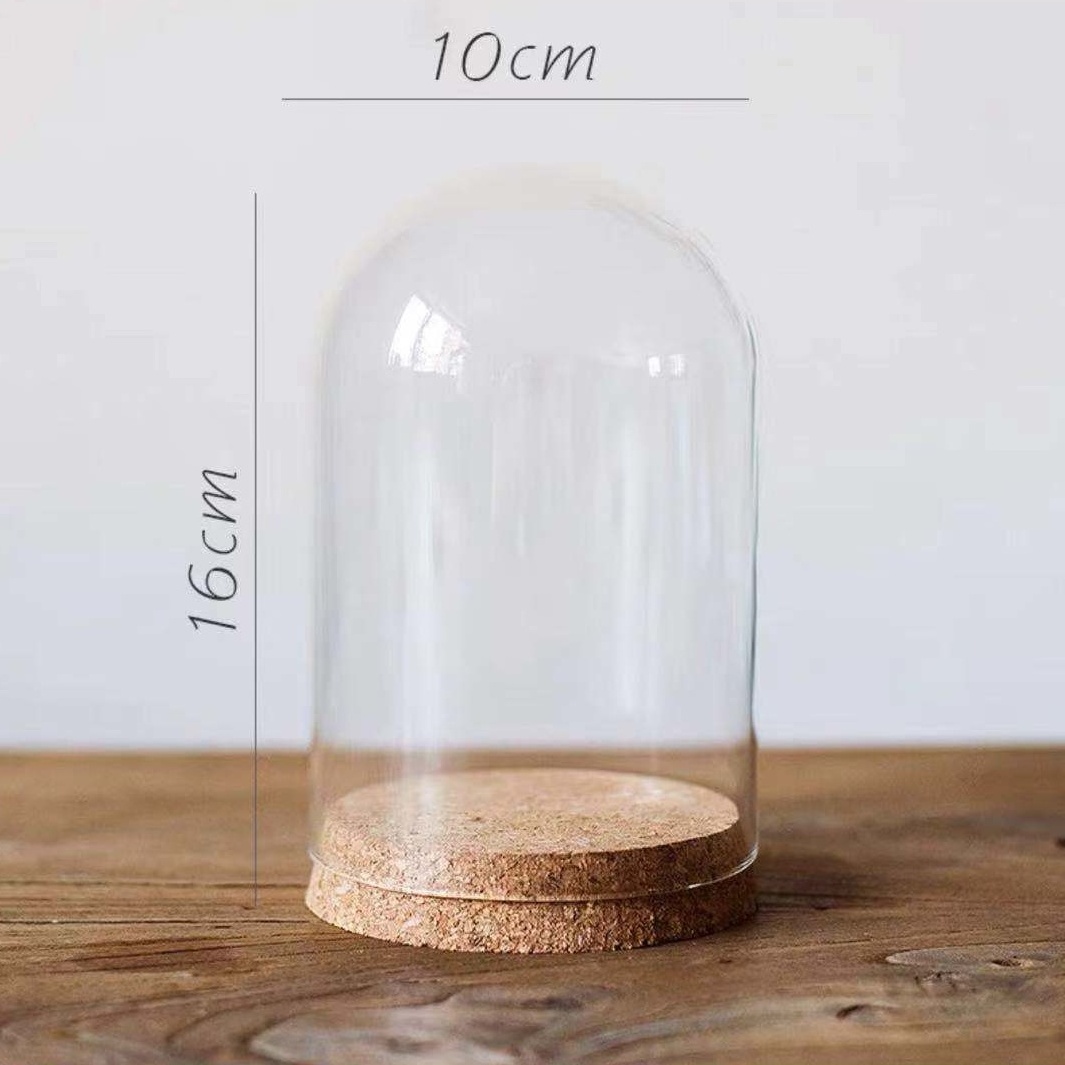 Small Clear Dome with Cork Bases Mini Glass Dome Flowers Display Jars with Glass Covers Eco-friendly