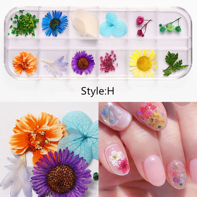 3D Dried Flowers nail art Decoration Natural Floral Sticker Mixed Dry Flower dried pressed flowers for resin