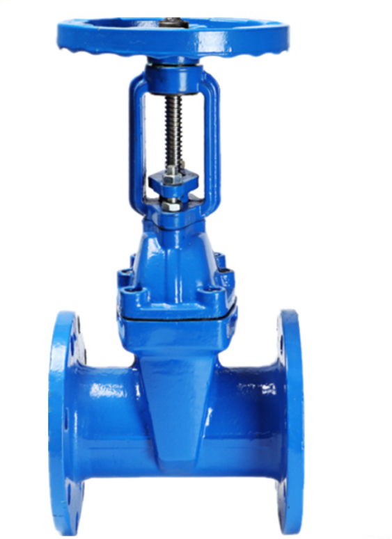 BIAOYI  Customizable price Nodular cast iron cast steel stainless steel  Rising Stem  resilient metal seat gate valve dn600