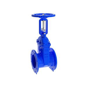 BIAOYI  Customizable price Nodular cast iron cast steel stainless steel  Rising Stem  resilient metal seat gate valve dn600