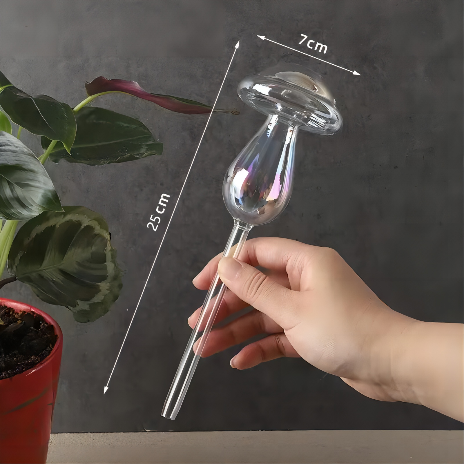 Customized Shape Glass Plant Watering Globes/Bulbs Clear Self Watering Devices Globes