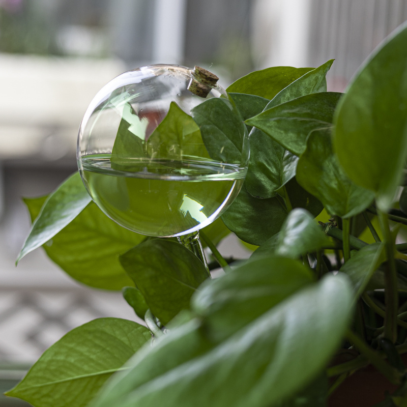 Hand Blown Plant Self Glass Watering Globes For Indoor & Outdoor Plants,Keep Plants Healthy