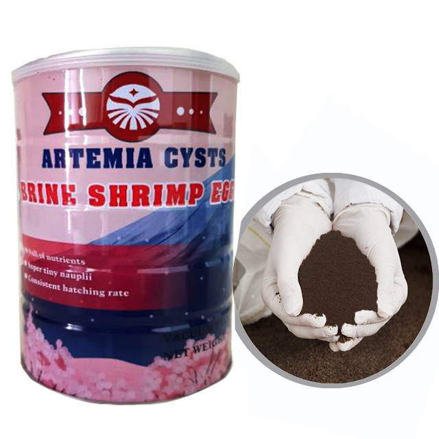 large tibet Artemia Cysts HR 90% 95%  Brine Shrimp Eggs for small fish babay catfish /Discus fish /Betta/ koi fish food