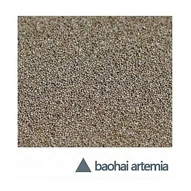 artemia cysts baby brine shrimp eggs bohai bay eggs for fish and shrimp fish feed