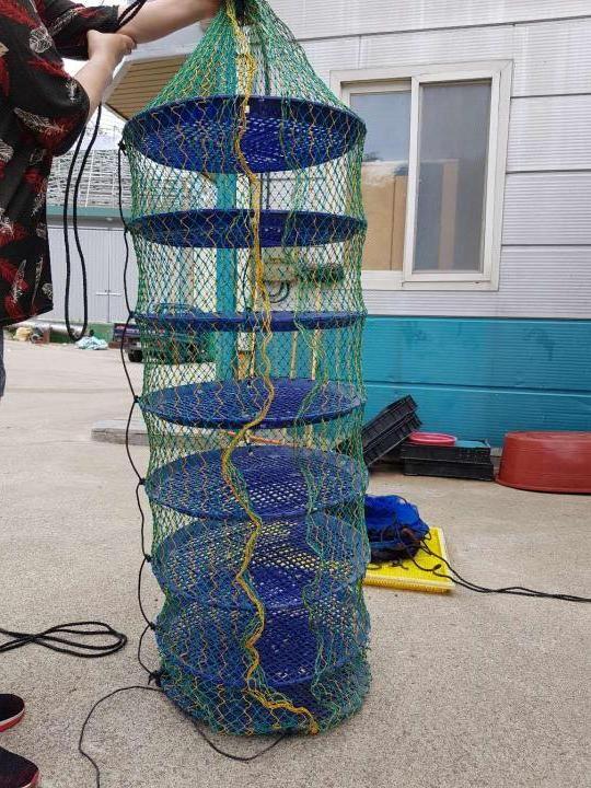 wholesale Scallop Culture Cage Oyster Lantern Net Fish Farm Equipment