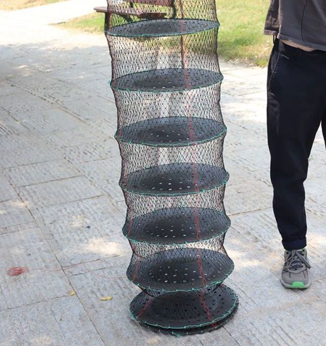 Manufacturers provide high-quality oyster culture equipment to trap Scallop Culture Lantern net