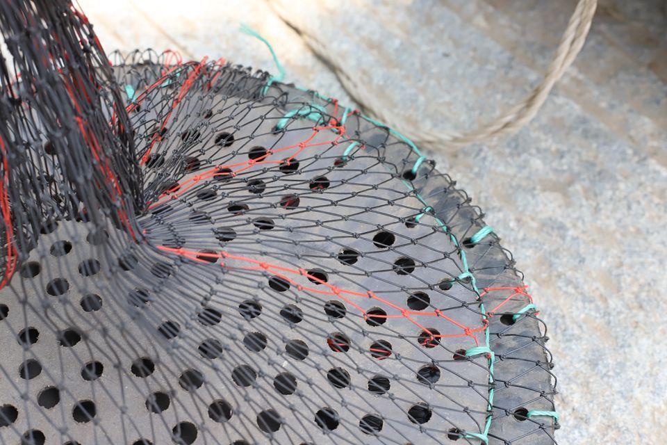 Manufacturers provide high-quality oyster culture equipment to trap Scallop Culture Lantern net