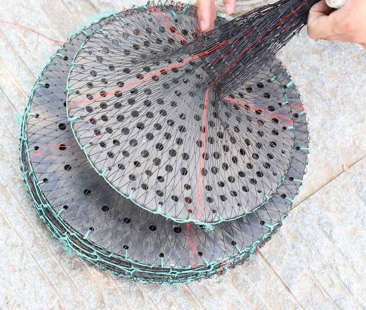 Manufacturers provide high-quality oyster culture equipment to trap Scallop Culture Lantern net