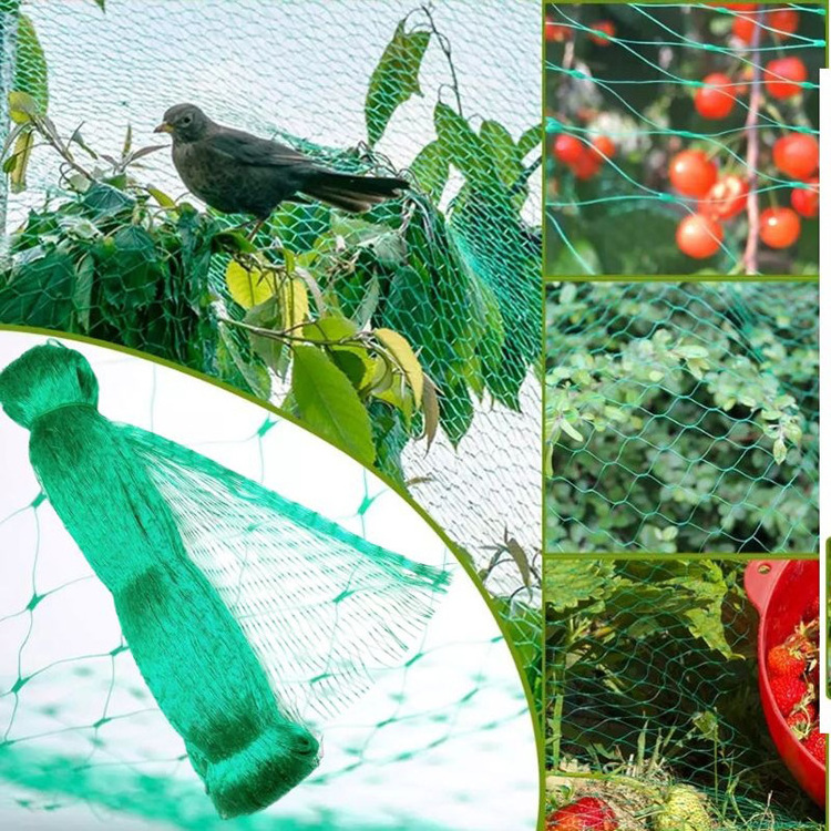 PE/Nylon/Plastic Agriculture/Garden/Vineyard/Trellis/ Crop Protection/Control Chicken/Anti Insect/Bird Net