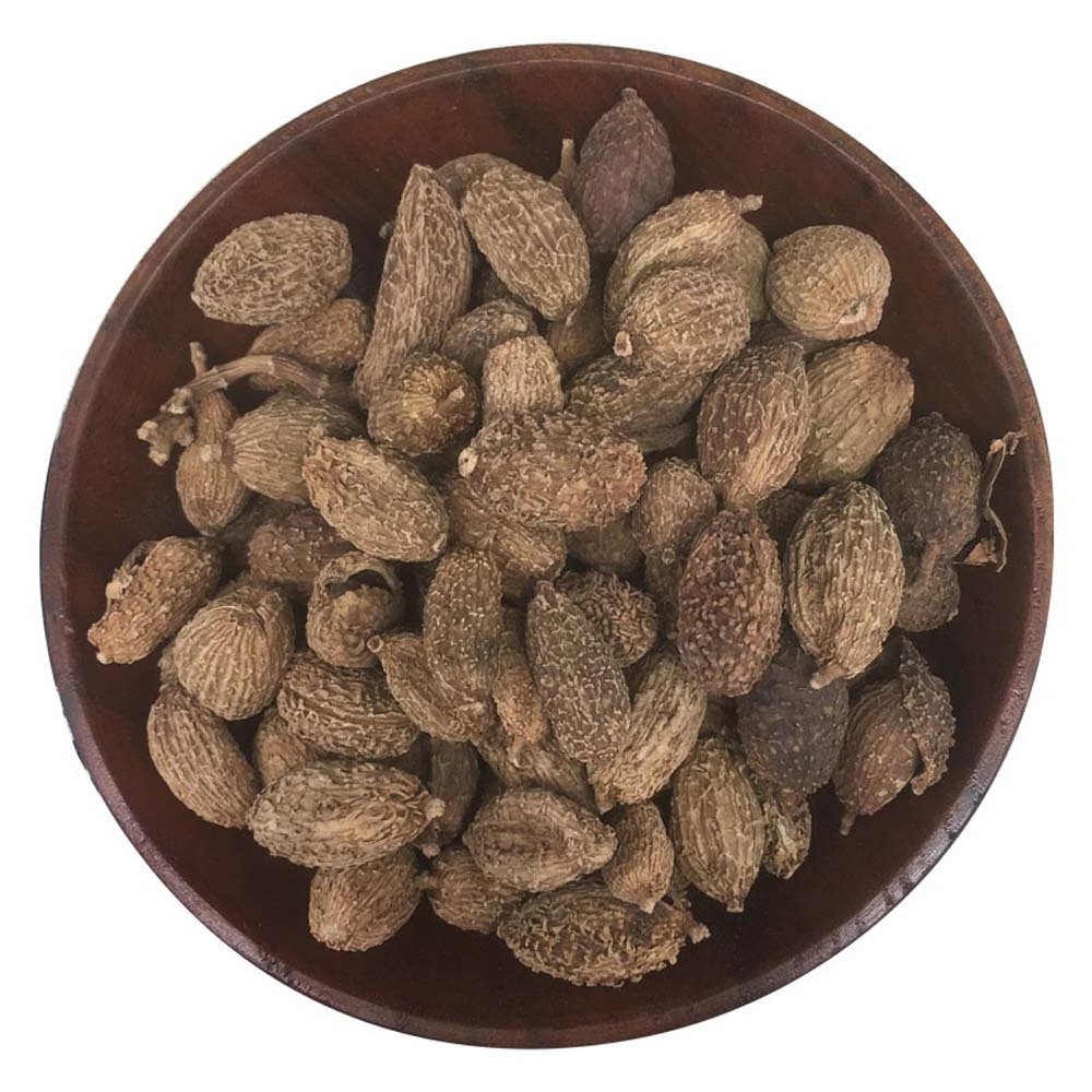 China spice wholesale Fructus Amomi fruit grain Dried Round Amomum villosum