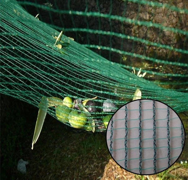 Green color  85gsm HDPE Agriculture net olive harvest 100%virgin olive harvest collection fruit net