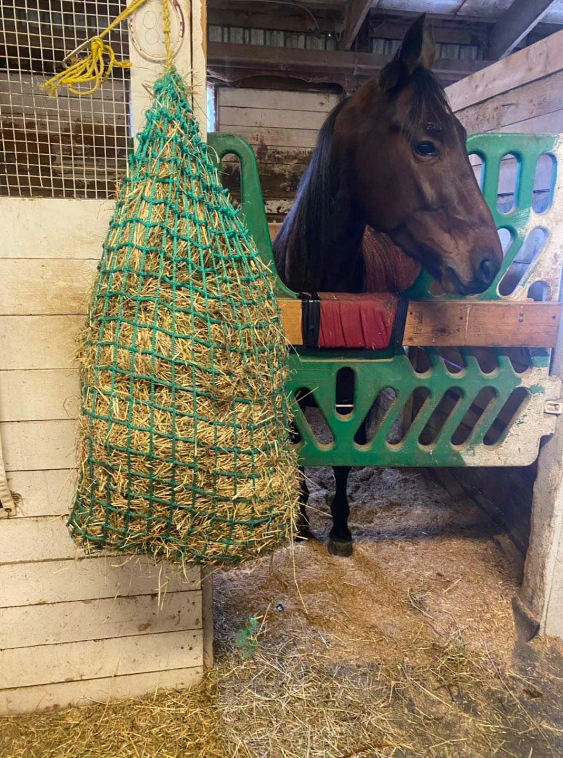 good quality thick horse hay net slow feeder for horse and other animals