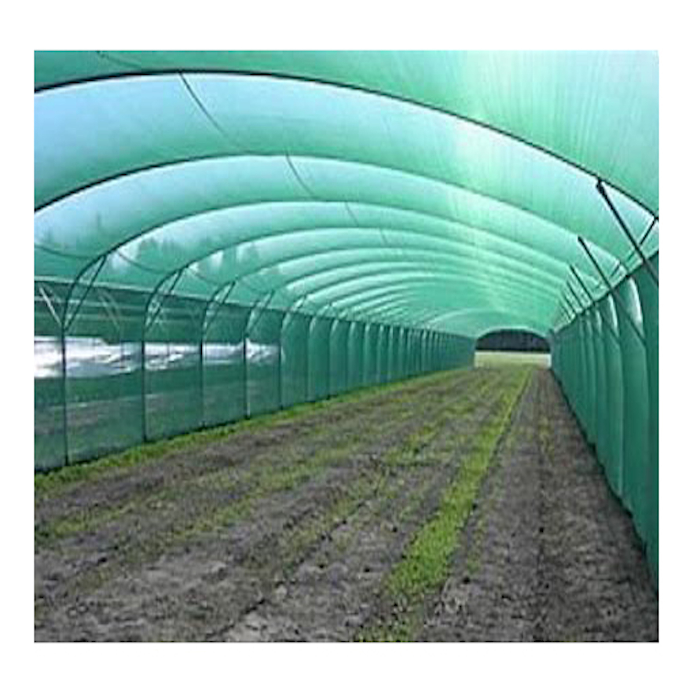 net greenhouse tropical greenhouse with net shade netting for greenhouse agricultural hdpe knotted anti bird netting