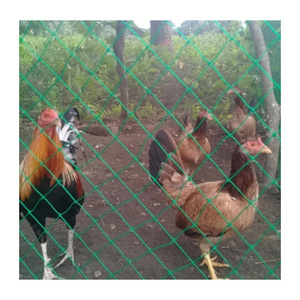 Range net poultry chicken plastic mesh net rolls for poultry/plastic net for chicken