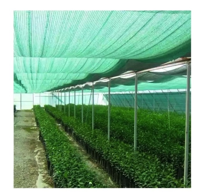 Greenhouse shade cloth net agriculture shading net for greenhouse double insect proof net greenhouse supplier