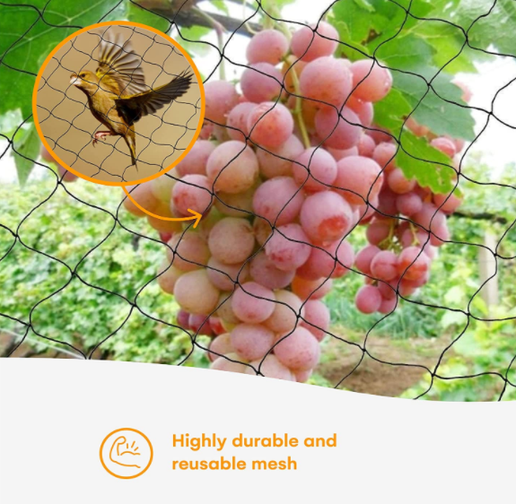 Nylon Mesh Anti Bird Netting for Fruit Trees Used As Bird Netting for Chicken Coop Garden Netting Plant Netting