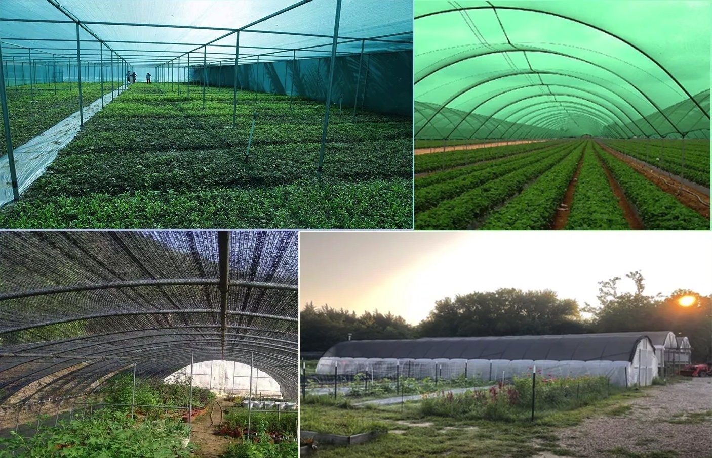 UV argo greenhouse net monofilament sun shade net poultry farm shade net