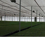 Greenhouse shade cloth net agriculture shading net for greenhouse double insect proof net greenhouse supplier