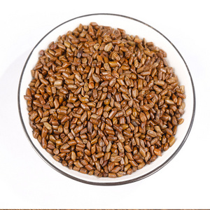 Whole Baked Semen Cassiae Tea Cassia Alata Seed Angustifolia