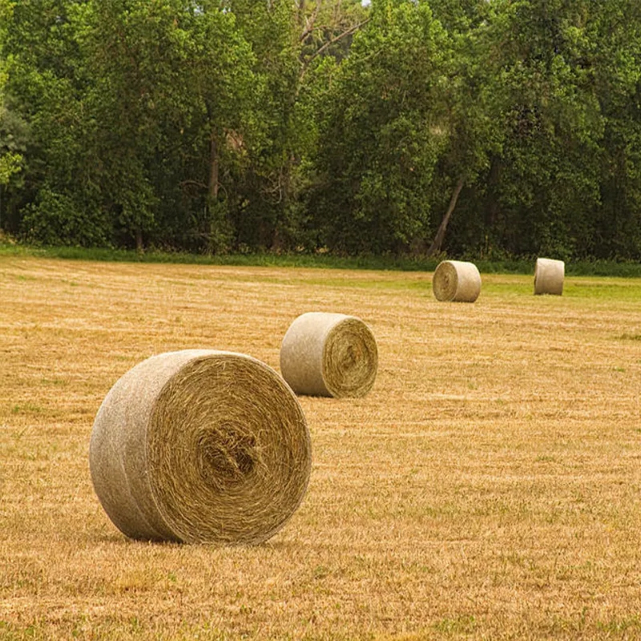 Hdpe uv Agricultural  Packing Silage Net Hay Straw Bale Net Wrap