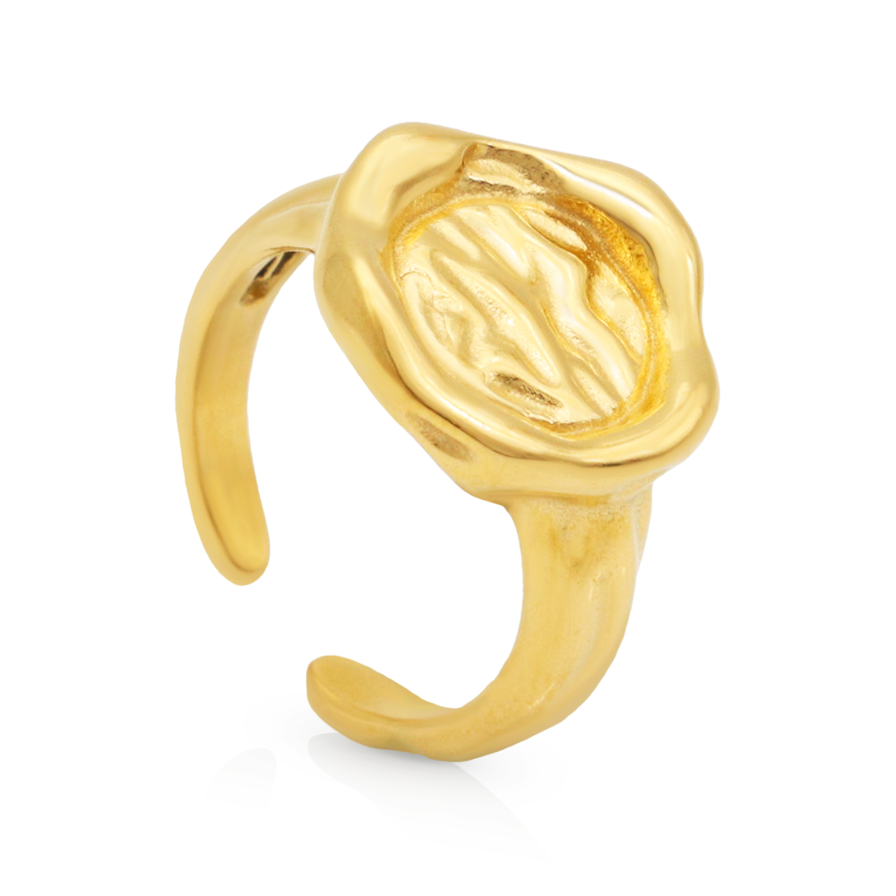 Chris April 316L stainless steel PVD chunky gold rings women plated organic texture signet ring