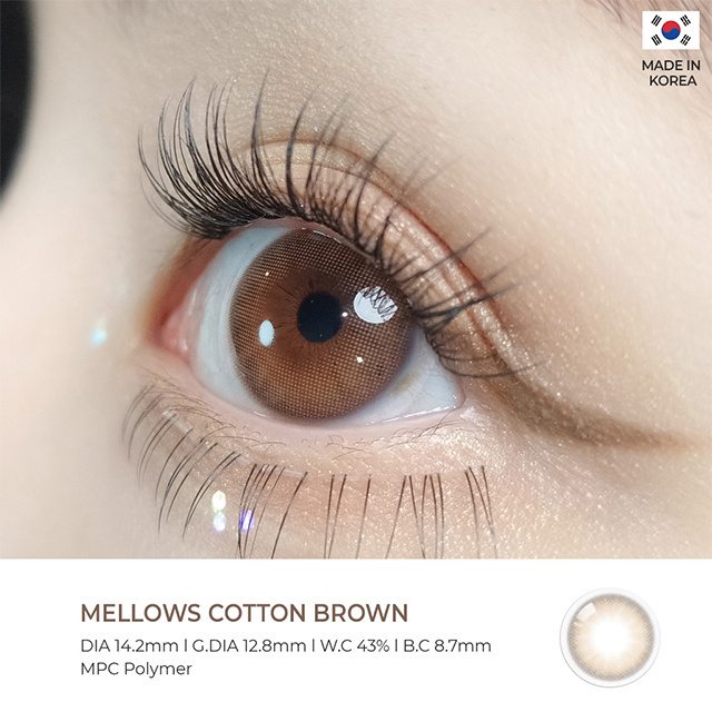 [OLOLA] Natural Color Contact lens Daily Soft Color eye Contact Lenses (Mellows Muse Brown 1 Day) korea product