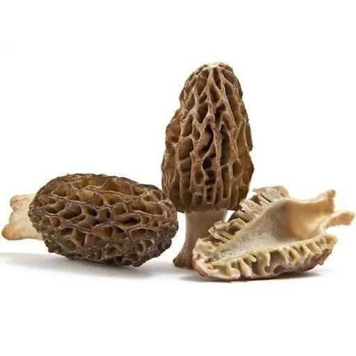 Dried Morel Mushrooms, Wild Morchellas