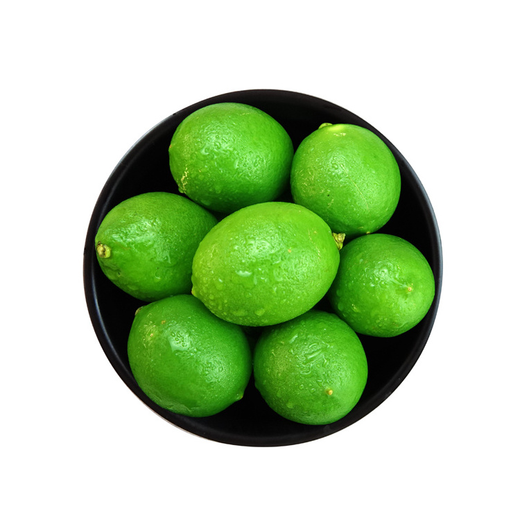 Fresh green seedless lime and lemons from Canada for export