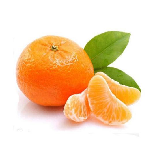 Fresh citrus fruits /Pongkam/ Lokam/Canada oranges/Mandarin oranges/Kinnow