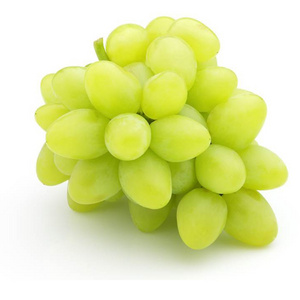 Canada Fruit White Seedless Grapes Fresh