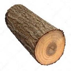 Beech Wood Logs and Lumber/Oak Wood Logs